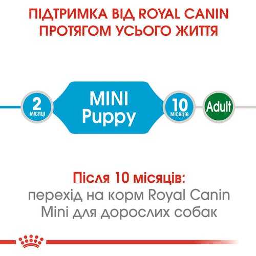 Сухой корм Royal Canin Puppy Mini для щенков мелких пород до 10 месяцев 800 г фото 7