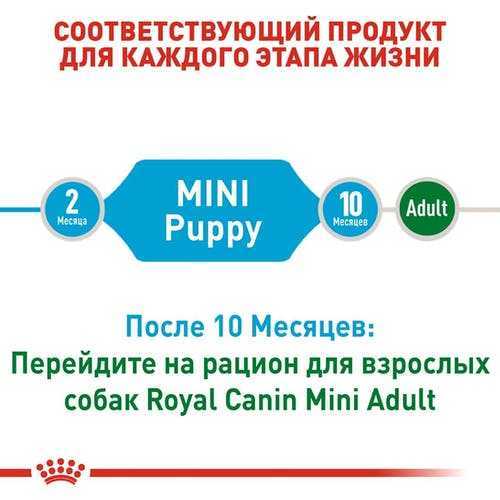 Сухой корм Royal Canin Puppy Mini для щенков мелких пород до 10 месяцев 800 г фото 8