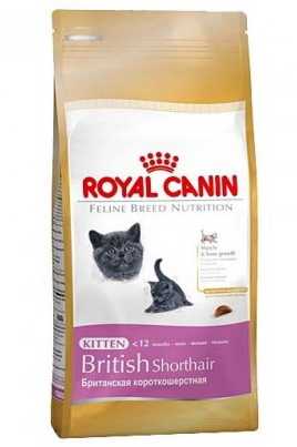 Royal Canin British shorthair kitten корм для британских котят от 4 до 12 месяцев фото 2