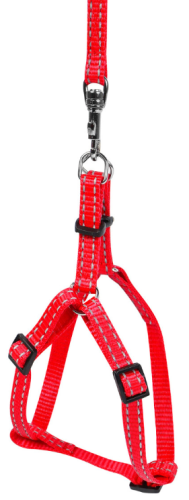 Комплект шлейка + поводок для собак Dog Extreme нейлоновая регулируемая, 15 мм, 40-55 см, длина 115 см, красная фото 2