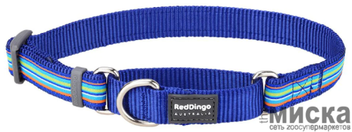 Ошейник-полуудавка для собак Red Dingo, ширина 20 мм, размер M (31-47 см) синий