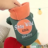 Куртка для животных, "Stay Wild", зеленая