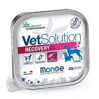 Monge Vetsolution RECOVERY востановительная диета для собак после операций и травм, 150гр.