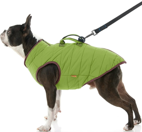 Жилет-куртка для собак Nunbell размер 42 см, салатовый фото 5