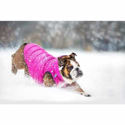 Курточка двусторонняя AiryVest для средних собак, размер M 40, розово-фиолетовая фото 8