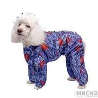 Комбинезон для собак Гамма Карликовый пудель, размер 25х24х13см., цвет в ассортименте