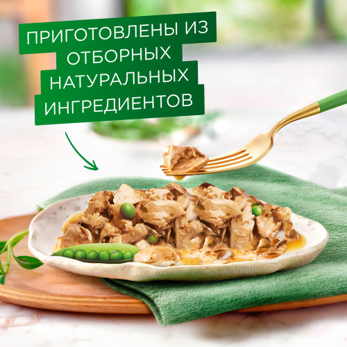 Гурмэ Натуральные рецепты Курица на пару с морковью 75 г фото 4