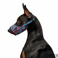 Намордник для собак WAUDOG Nylon, рисунок "Лето", пластиковый фастекс, размер №2, О 19-26 см