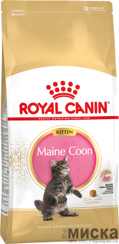 Royal Canin Mainecoon kitten корм для котят породы Мэйн Кун