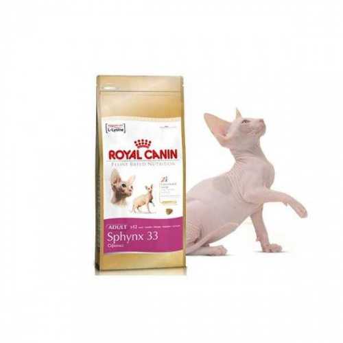 Roayl Canin Sphynx корм для сфинксов с 12 мес фото 2