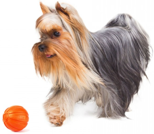Игрушка для собак малых пород Liker "Мячик" 5 см фото 3