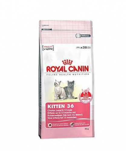 Royal Canin Kitten корм для котят во второй фазе роста от 4 до 12 мес фото 2