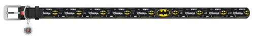 Ошейник для собак кожаный WAUDOG Design рисунок "Бэтмен 3" DC Comics, металлическая пряжка, ширина 12 мм, размер XXS (18-24 см) чёрный фото 2