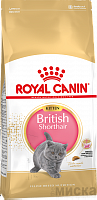 Royal Canin British shorthair kitten корм для британских котят от 4 до 12 месяцев