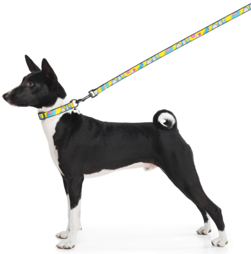 Поводок для собак нейлоновый WAUDOG Nylon, рисунок "Рик и Мори 1", ширина 15 мм, длина 122 см фото 3