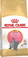 Royal Canin British shorthair kitten корм для британских котят от 4 до 12 месяцев